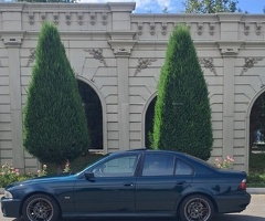 BMW 5-series 523, 1996, 2.5L, 436000 km, Avtomat