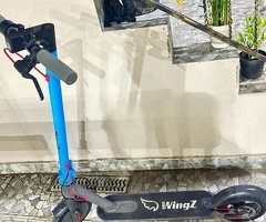 Skuter, Wing