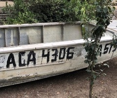 Qayıq, 2023