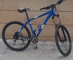 Velosiped, Stels