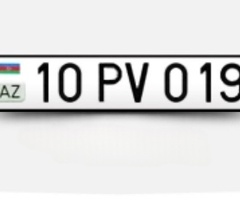 10-PV-019