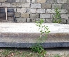 Mühərrikli qayıq, 2023