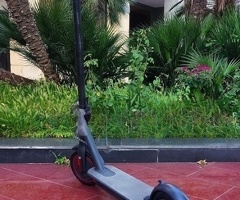 Skuter, Xiaomi 365M