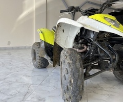 Kvodrosikl, 2015, 0.20L, 3000 km