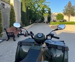 Kvodrosikl, 2018, 0.60L, 4500 km