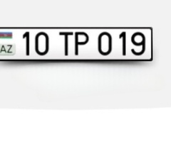 10-TP-019