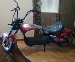 Skuter