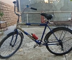 Velosiped