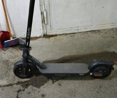 Skuter