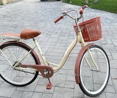 Velosiped, Yol