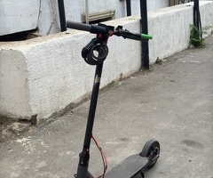 Skuter