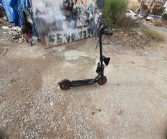 Skuter