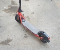 Skuter