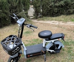 Skuter