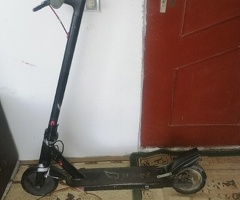 Skuter
