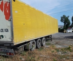 1995, Sarı