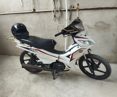 Moped, 2019, 600 km