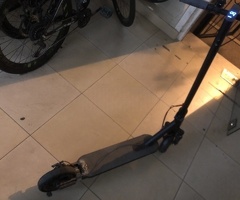 Skuter