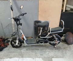 Skuter
